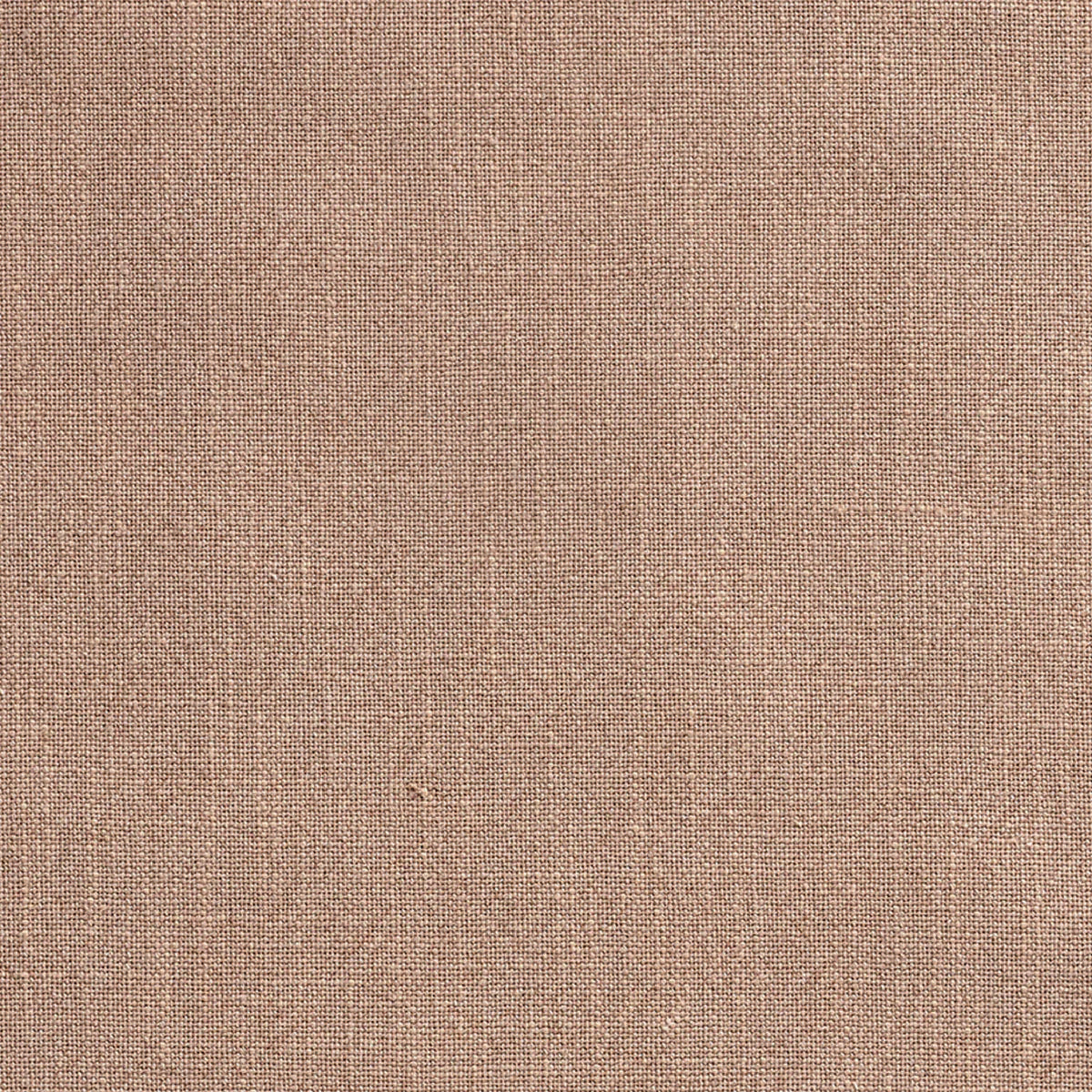 Échantillon Ellison Studios - Biscuit Byron