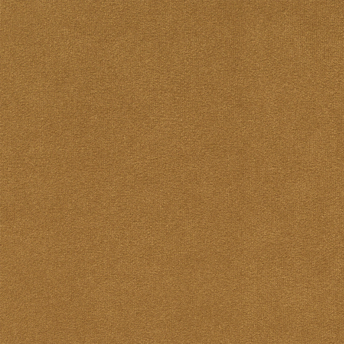 Ellison Studios Swatch - Malibu Amande