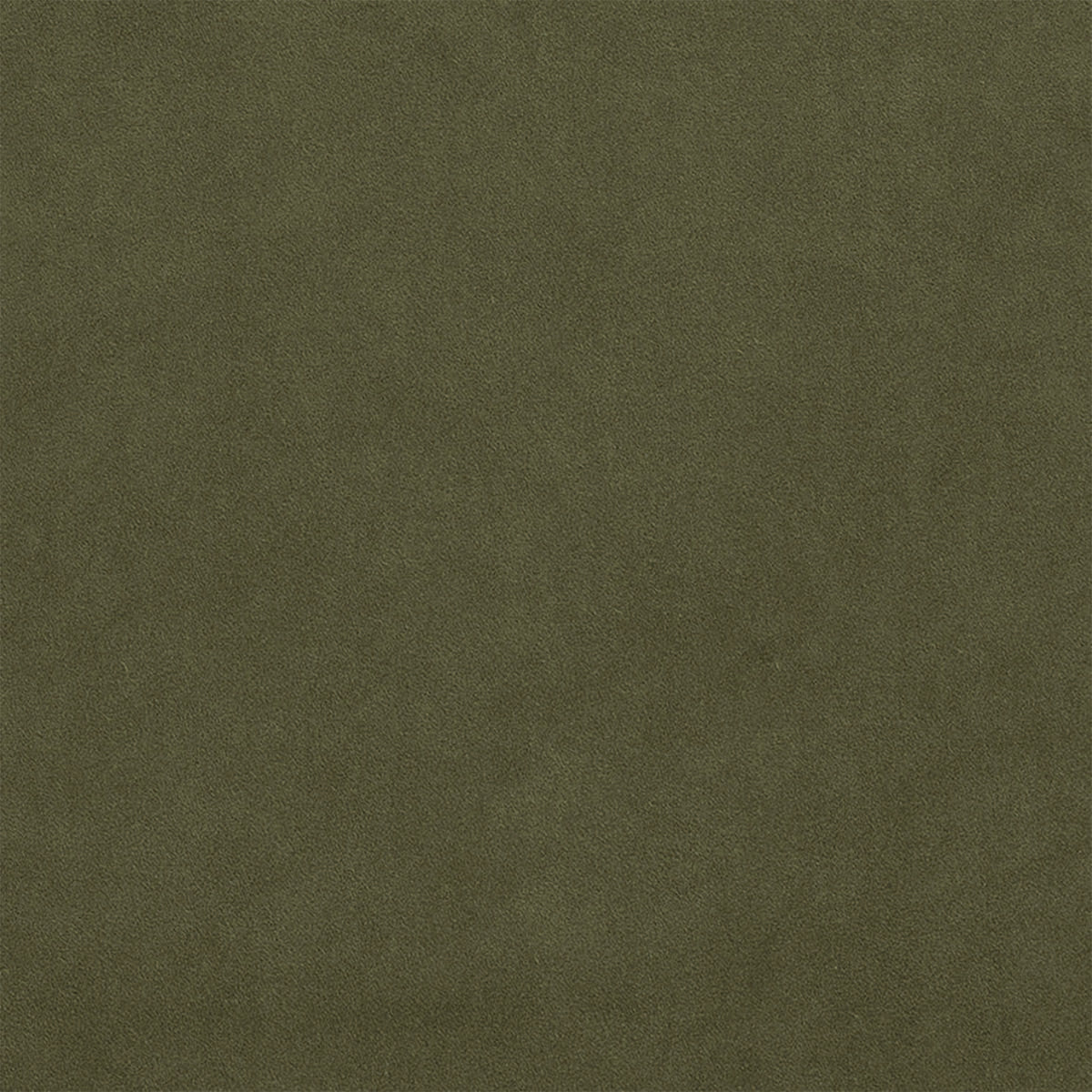 Échantillon Ellison Studios - Malibu Matcha