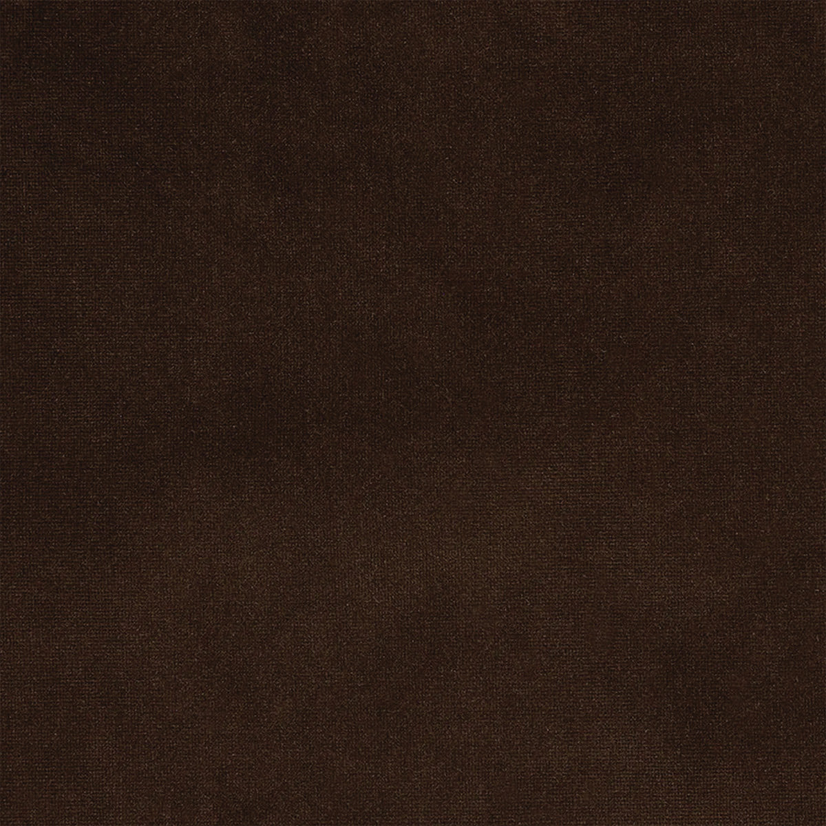 Ellison Studios Swatch - Avalon Piccolo