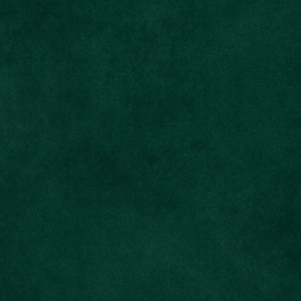Échantillon SofaCompany - Velours vert foncé Lux