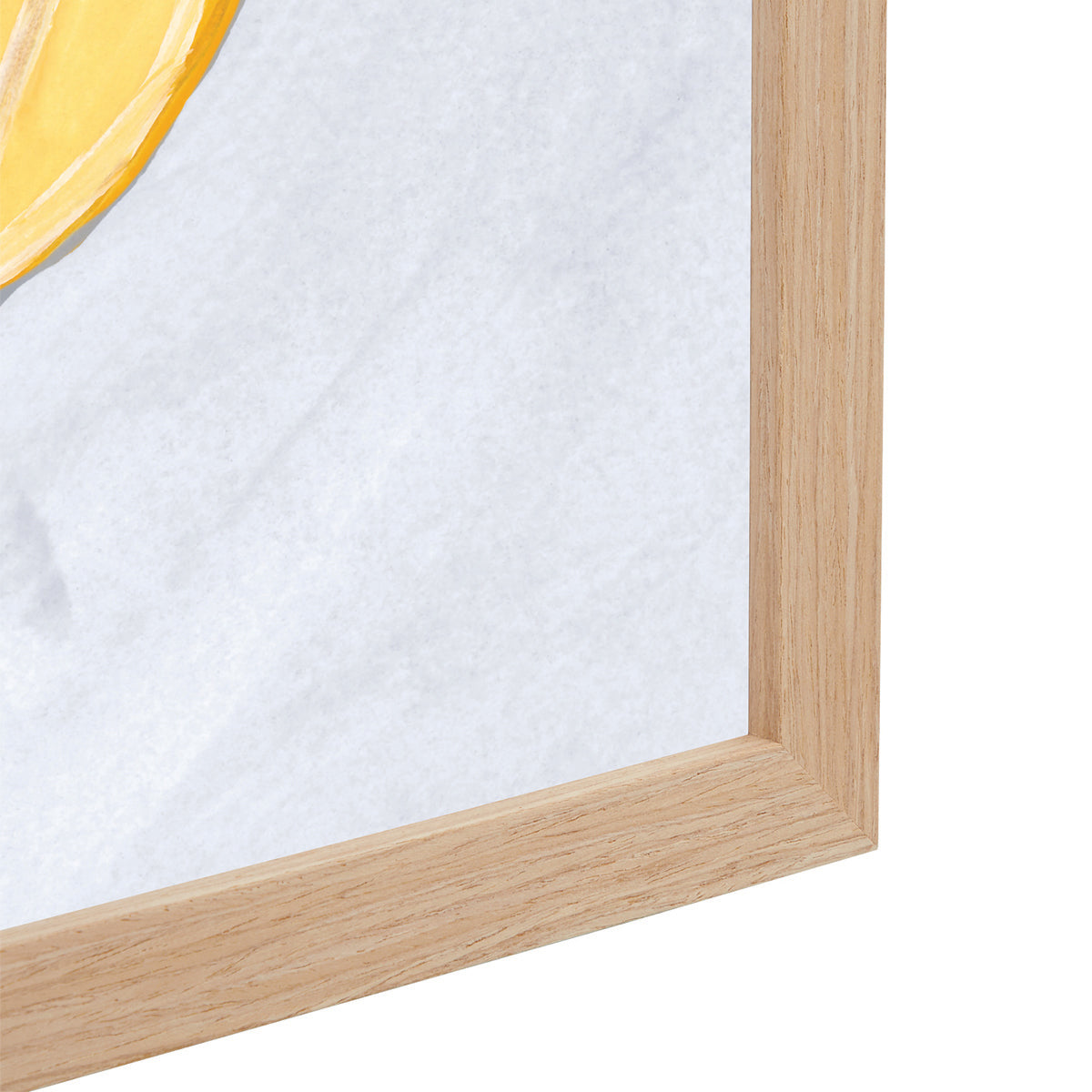 Imprimé Life x MON Mediterranean Catch