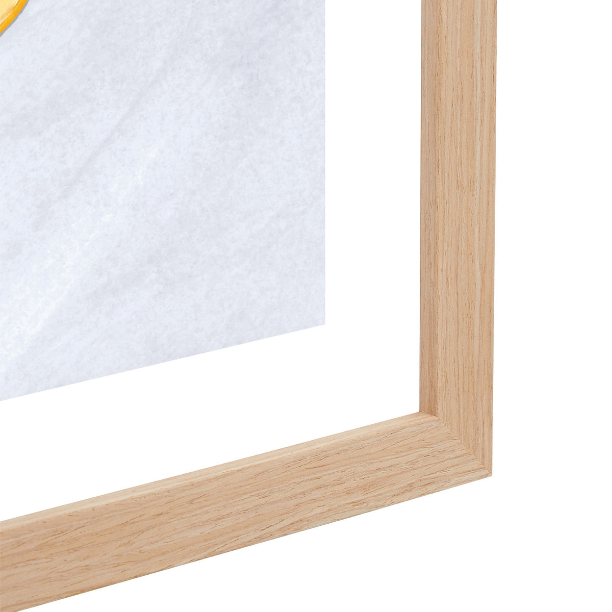 Imprimé Life x MON Mediterranean Catch