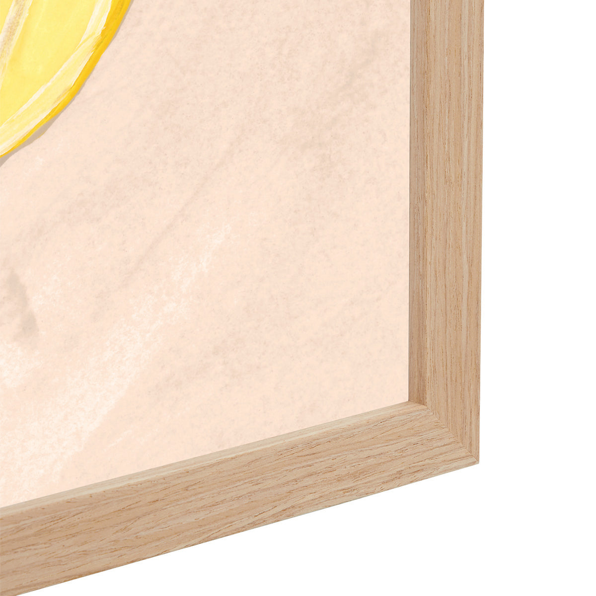 Imprimé Life x MON Mediterranean Catch