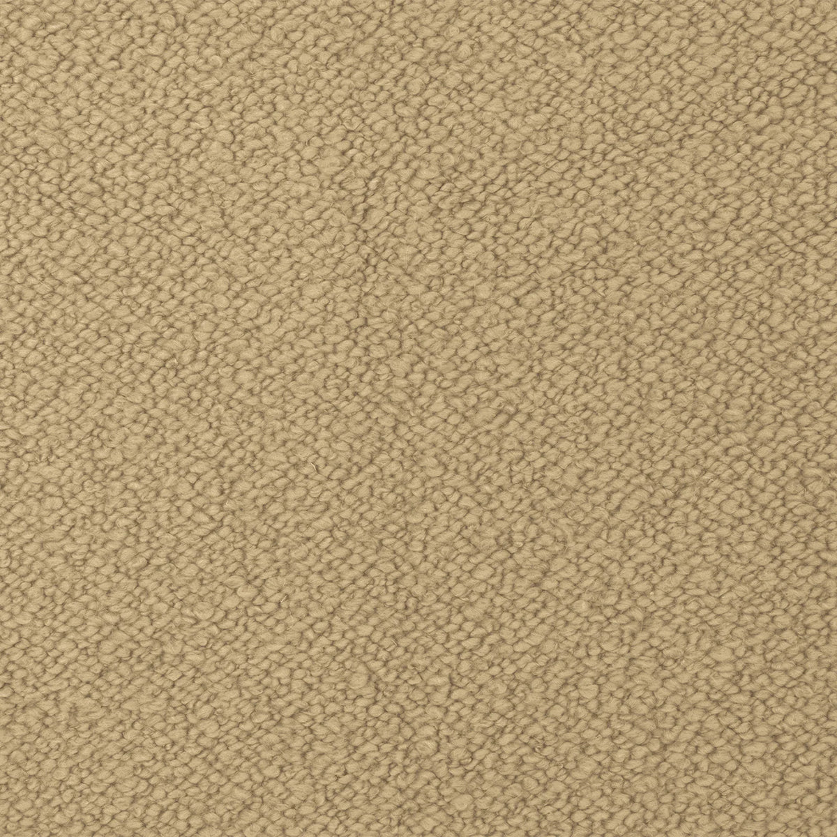 Échantillon Ellison Studios - Airlie Camel