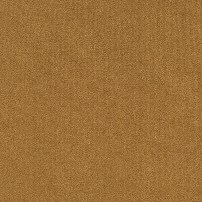 Ellison Studios Swatch - Malibu Amande