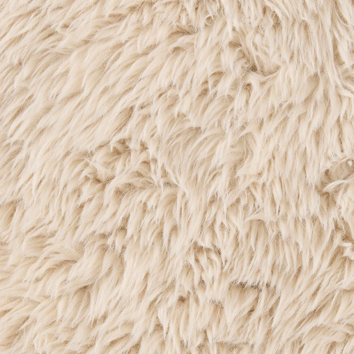 Échantillon Ellison Studios - Paddington Cashew