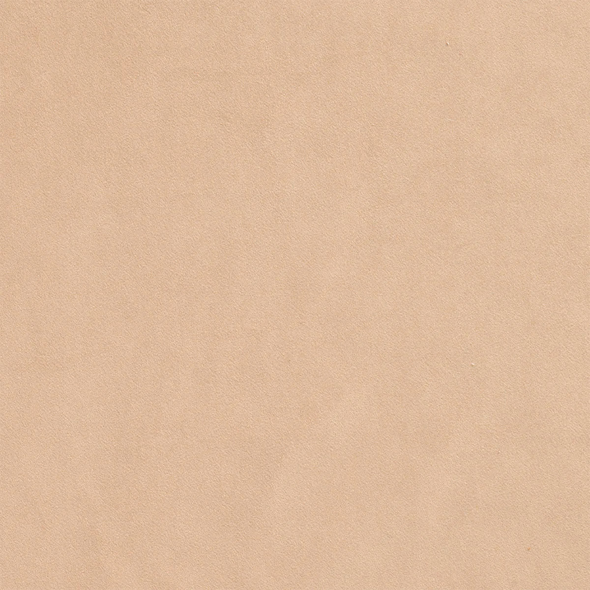 Ellison Studios Swatch - Malibu Dune